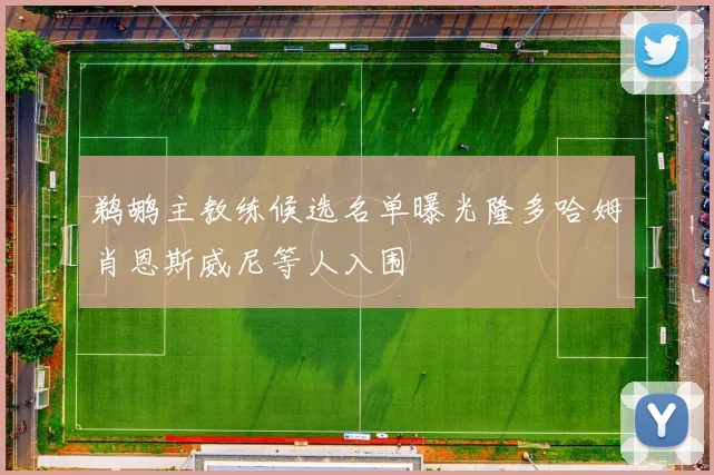 鹈鹕主教练候选名单曝光隆多哈姆肖恩斯威尼等人入围